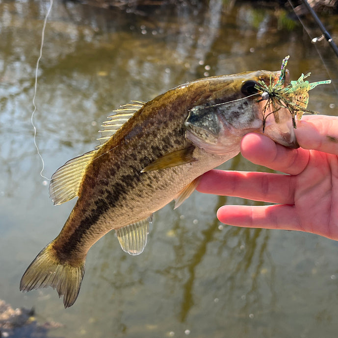 What Is Micro Finesse Fishing?