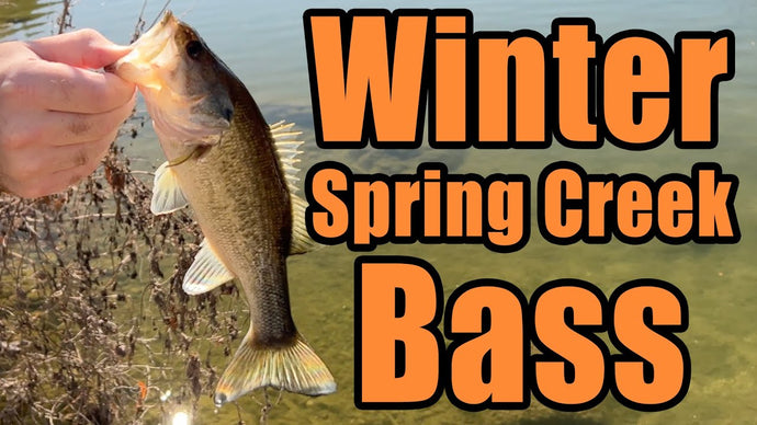 Winter Bass Fishing on a Spring Creek