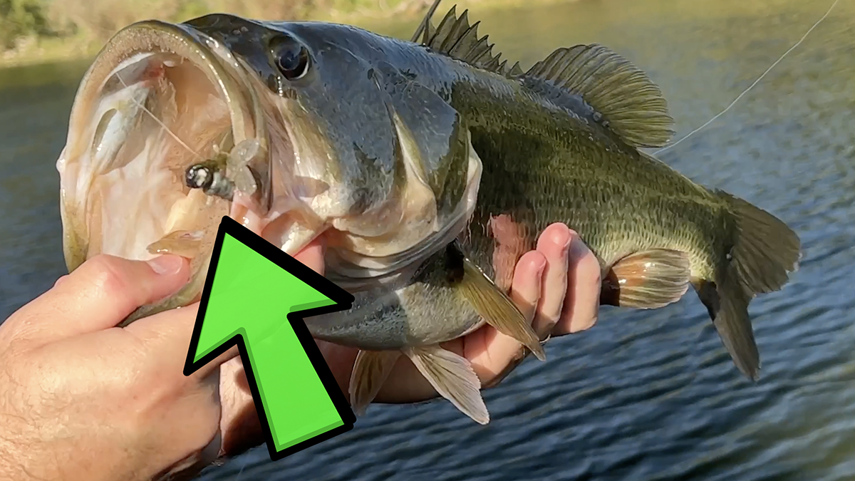 The Secret Summer Bait For Largemouth Bass & Panfish You NEED To Try ...