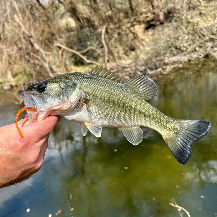 What Is Micro Finesse Fishing?