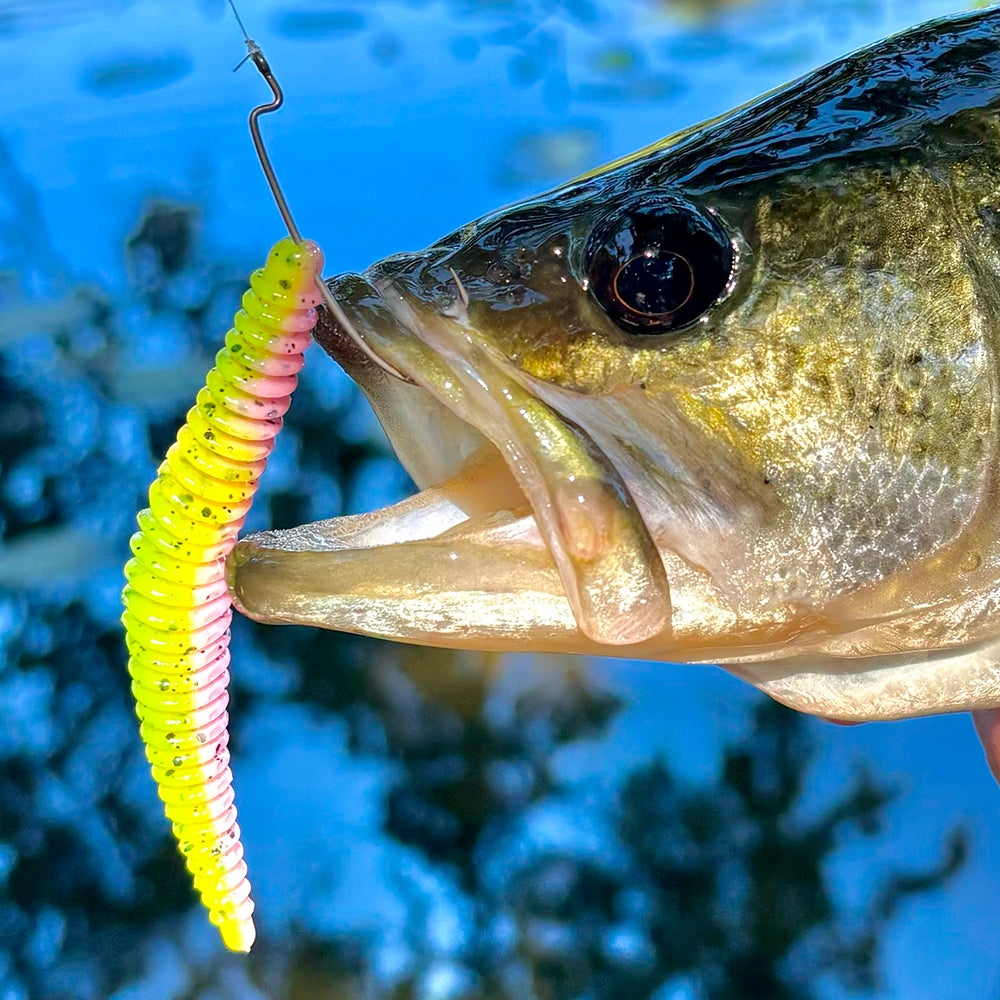 Soft Plastics Pre Rigged Plastic Worms Ned Rig Baits Ned Rig Kit