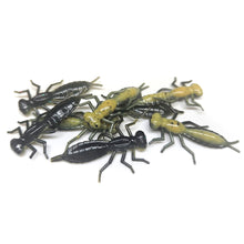 Load image into Gallery viewer, Black N&#39; Tan - Dragonfly Larvae
