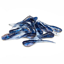 Load image into Gallery viewer, Blue Specklebelly - Shad Reapers
