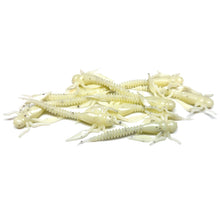 Load image into Gallery viewer, Bone White - Boujee Bug
