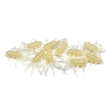 Load image into Gallery viewer, Bone White - Micro Spider Monkeys
