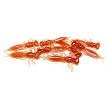 Load image into Gallery viewer, Earthworm - Dragonfly Larvae

