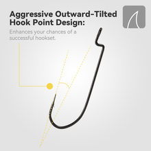 Load image into Gallery viewer, Finesse Offset Worm Hooks - Nano Smooth Coating
