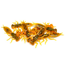 Load image into Gallery viewer, Orange Pumpkin - Dragonfly Larvae
