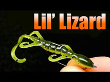 Load and play video in Gallery viewer, Pumpkin - Lil&#39; Lizard
