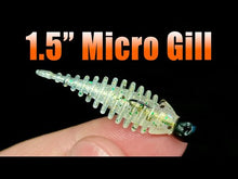 Load and play video in Gallery viewer, Cajun - Micro Gill
