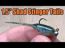 Load and play video in Gallery viewer, Orange Perch - Shad Stinger Tails
