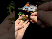 Load and play video in Gallery viewer, Pumpkin - Jig Pig
