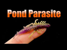 Load and play video in Gallery viewer, Black - Pond Parasite
