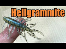 Load and play video in Gallery viewer, Alien Junebug - 2&quot; Hellgrammite
