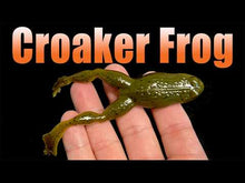 Load and play video in Gallery viewer, Pumpkin Chartreuse - Croaker Frog
