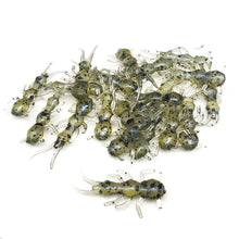 Load image into Gallery viewer, Electric Watermelon - Stonefly Larvae
