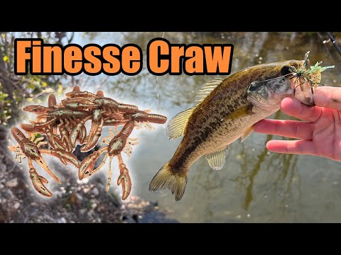 cajun crawl fishing lures Cajun Craw