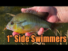 Load and play video in Gallery viewer, Chartreuse - 1&quot; Side Swimmers
