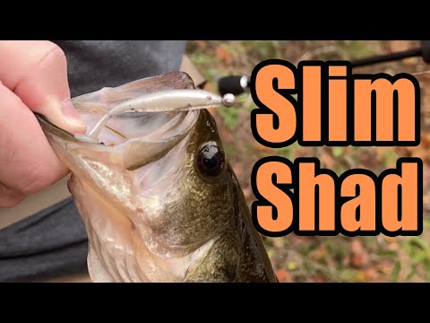brown turd fishing lure Frog Turd