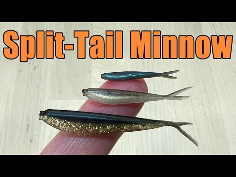 Crappie Minnow - Split-Tail Minnow