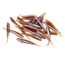 Load image into Gallery viewer, Spruce Moose - Split-Tail Minnow
